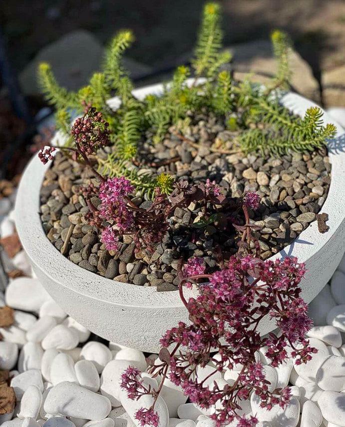 Вазон бетонний Верона вуличний 450x900 мм 103 кг 166 л (GEN4) - фото 6 Вазон бетонний Верона вуличний 450x900 мм 103 кг 166 л (GEN4) - фото 6