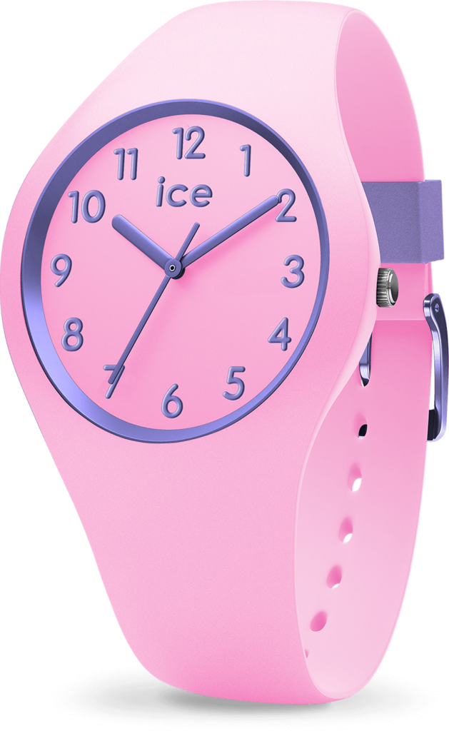 Часы кварцевые Ice-Watch (14431)