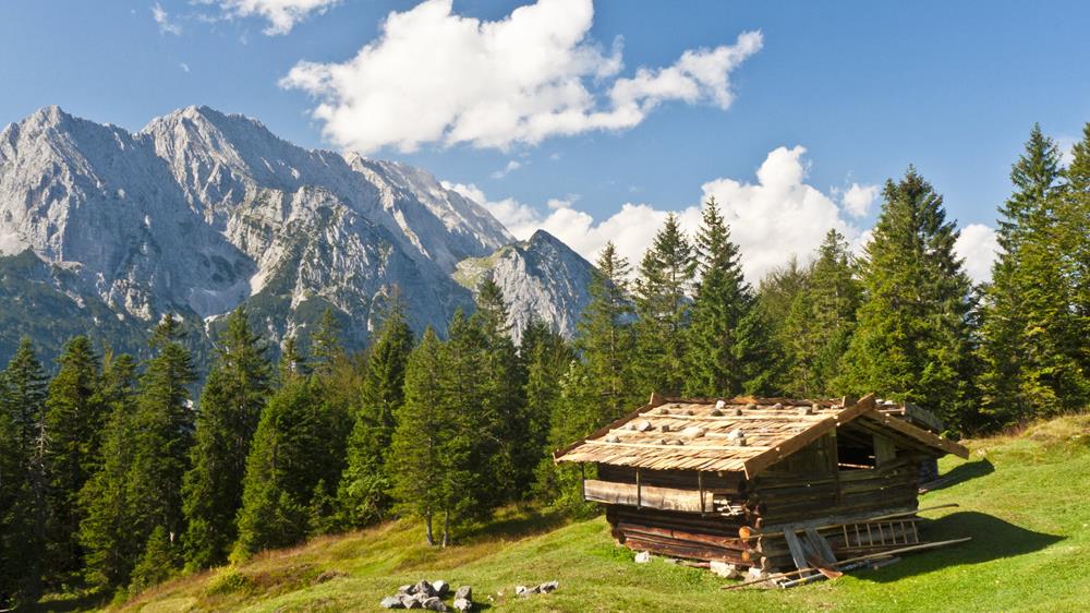 Картина Природа PR135 35х55 см
