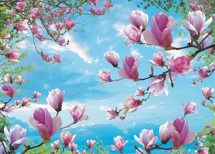 Фотообои на бумажной основе VG Магнолия 208х290 см (2000000471556) Фотообои на бумажной основе VG Магнолия 208х290 см (2000000471556)