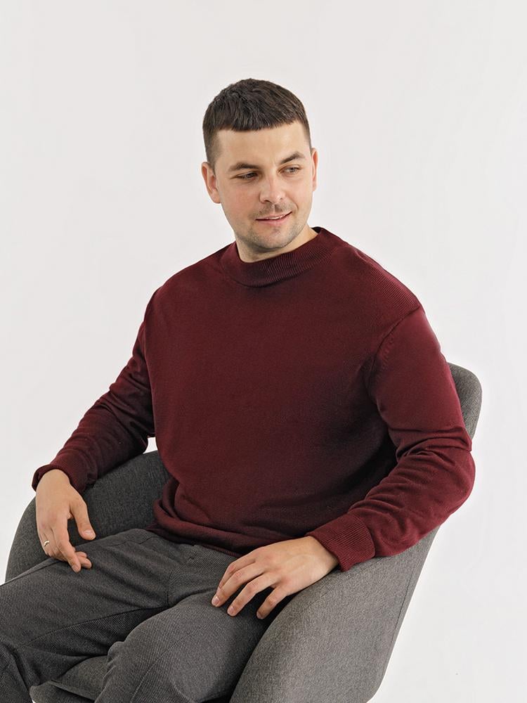 Гольф мужской ЦБ-00227308 р. 58 Бордовый (SKT000926100)