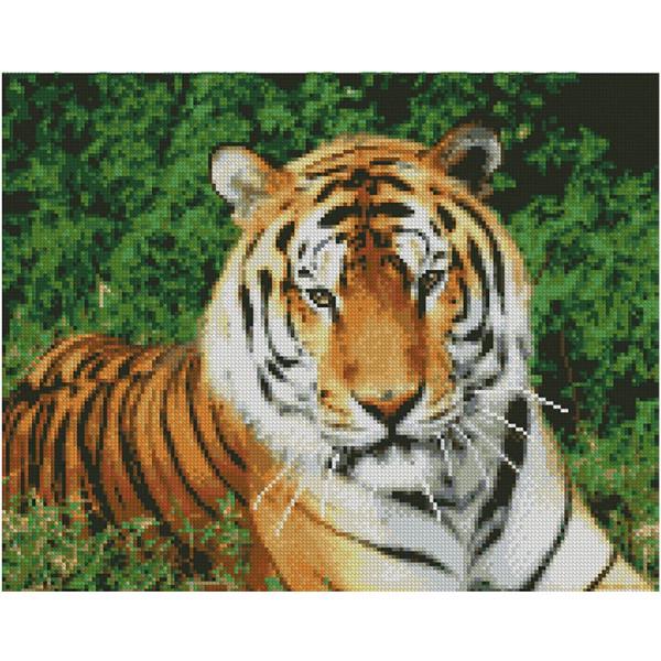 Алмазна картина Strateg Погляд тигра 40х50 см (FA10046-mt)