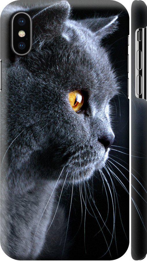 Чехол на iPhone XS Красивый кот (3038c-1583-42517) Чехол на iPhone XS Красивый кот (3038c-1583-42517)