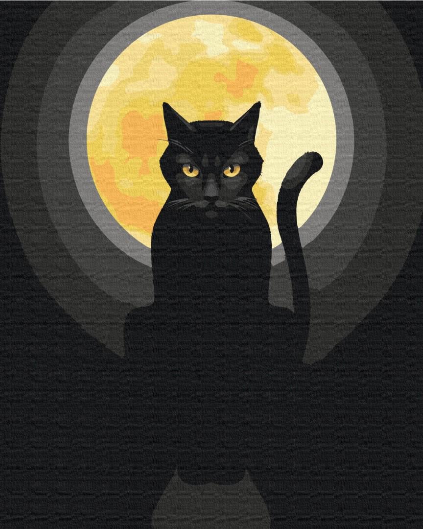 Картина по номерам Brushme Сторож ночи 40x50 см (BS53332)