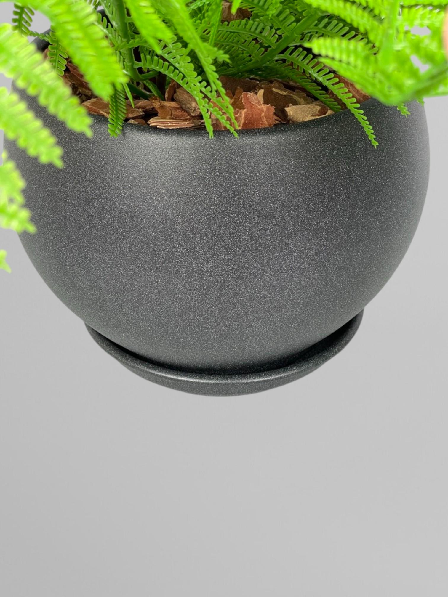 Композиция из искусственного папоротника в черном керамическом горшке Зеленый (А202) - фото 5 Композиция из искусственного папоротника в черном керамическом горшке Зеленый (А202) - фото 5