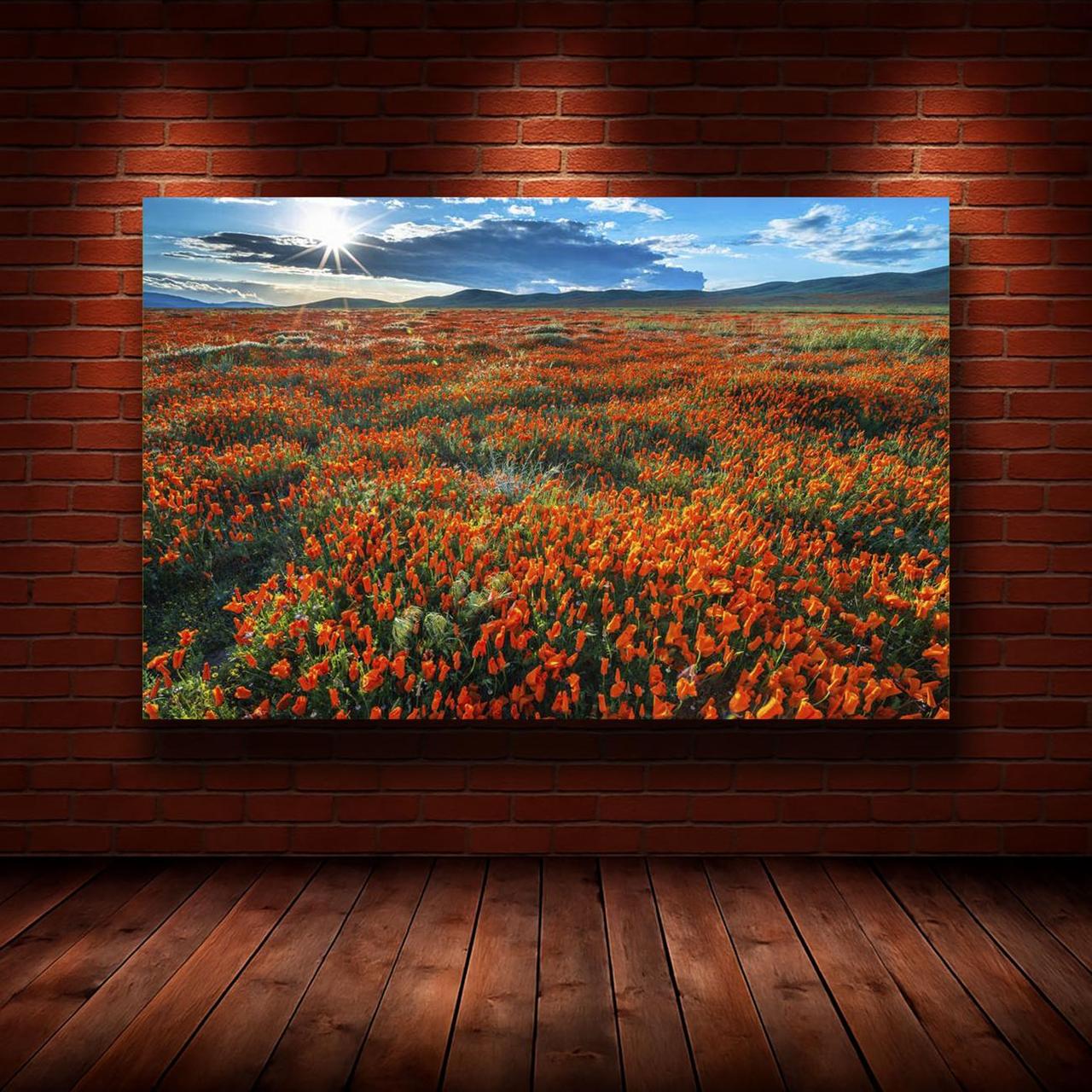 Картина на холсте Природа 50х70 см (N1206)