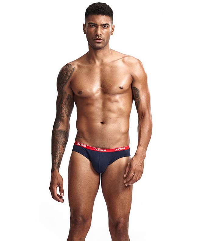Трусы Lanvibum L Темно-синий (5518)