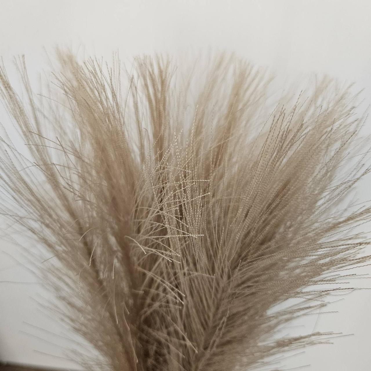 Трава штучна пампасна Букет 10 гілок Коричневий (2034207976) - фото 3