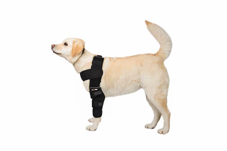 Бандаж для собак Frakishtak поддержка локтевого сустава на обе лапы S Черный (28436752) - фото 3 Бандаж для собак Frakishtak поддержка локтевого сустава на обе лапы S Черный (28436752) - фото 3