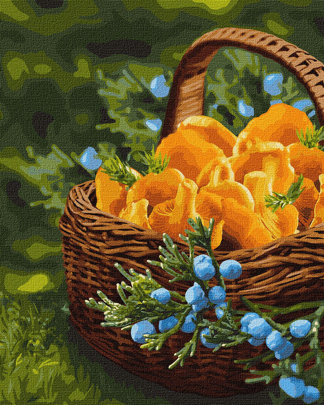 Картина по номерам Идейка Солнце в корзине 40x50 см (Id-KHO5602)