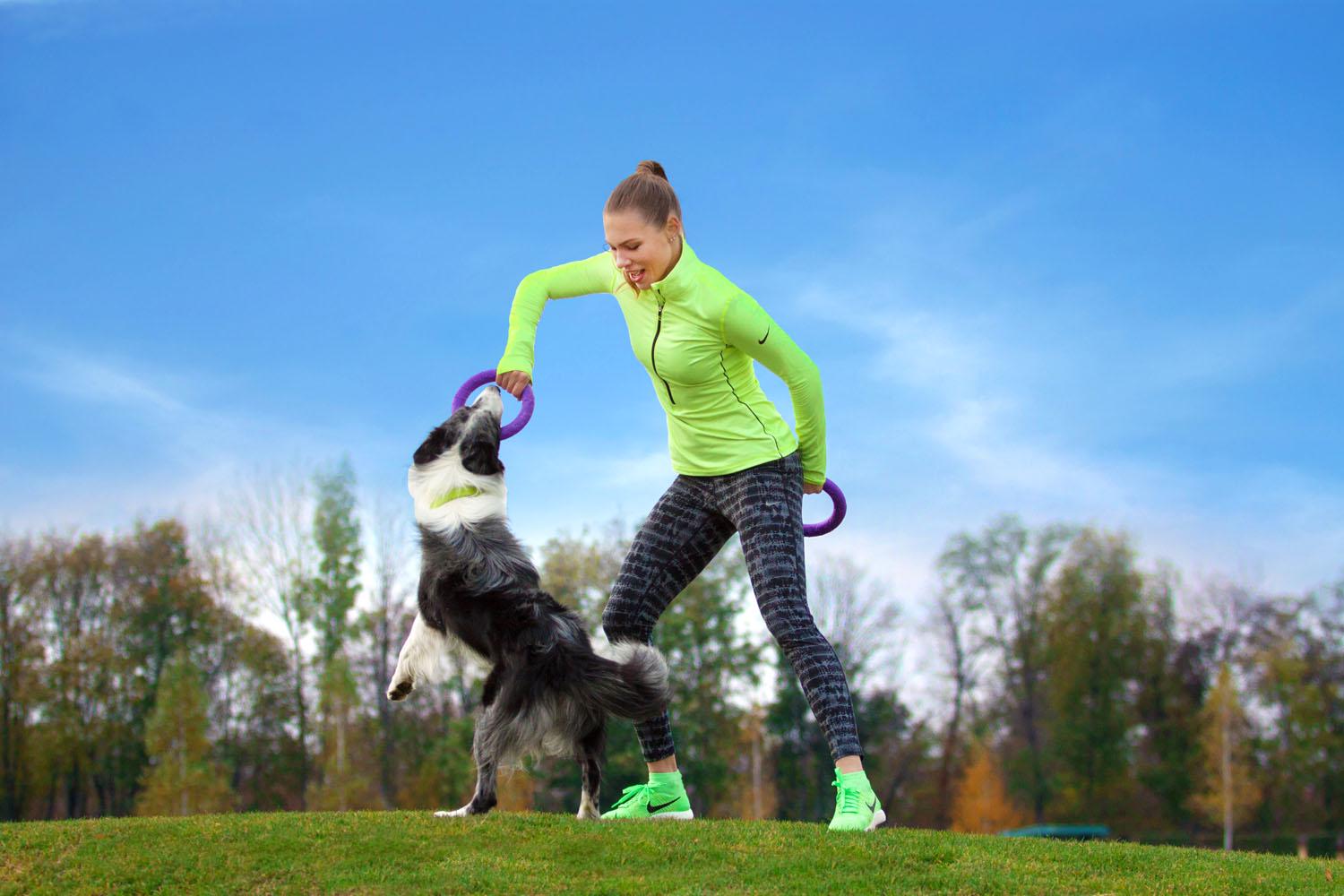 Тренировочный снаряд для собак Puller Midi 19,5 см (6488) - фото 11