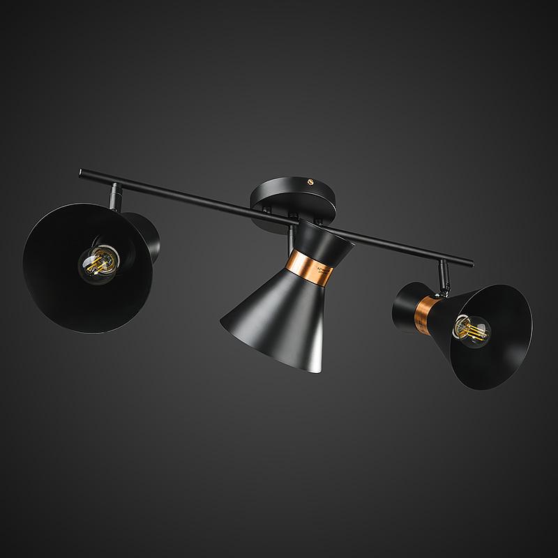 Потолочная люстра Light House DL-17292/3 Черный