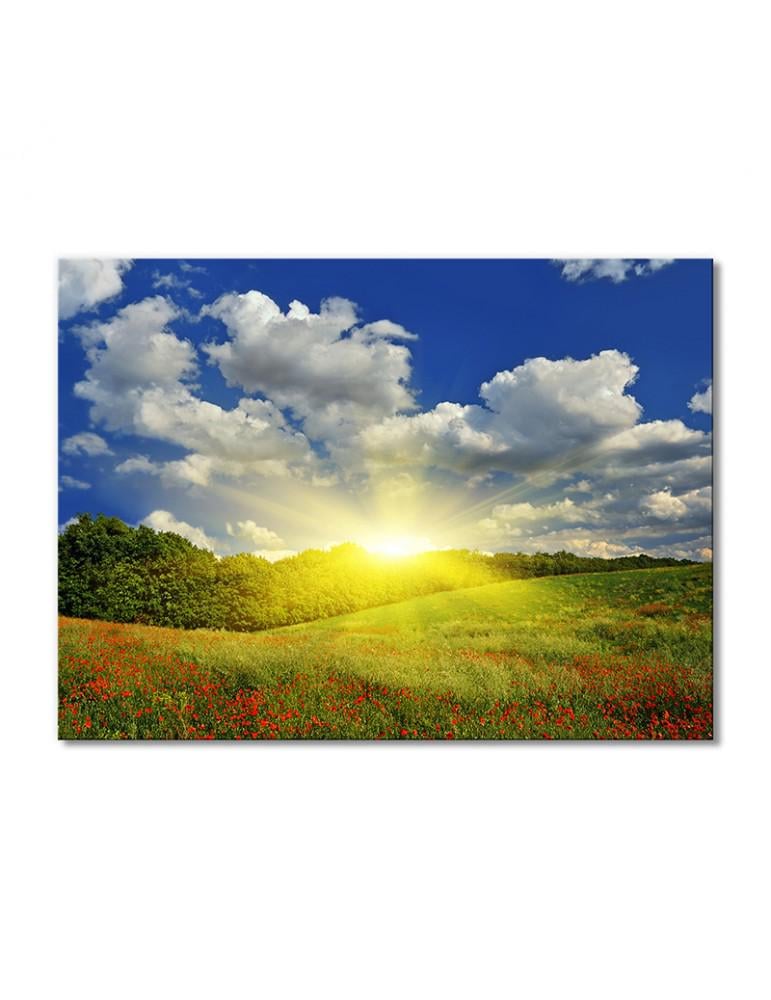 Картина модульная Солнечные лучи над маковым полем 1 модуль 30х45 см (220542Pejzazh)