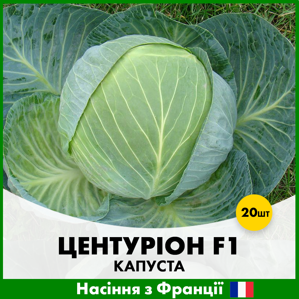 Семена капусты Clause Белоголова Центурион F1 20 шт. (R50213)