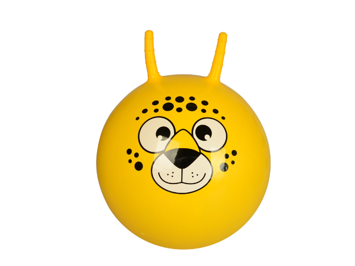 М'яч для фітнесу MS 0484-2 (AN004250)