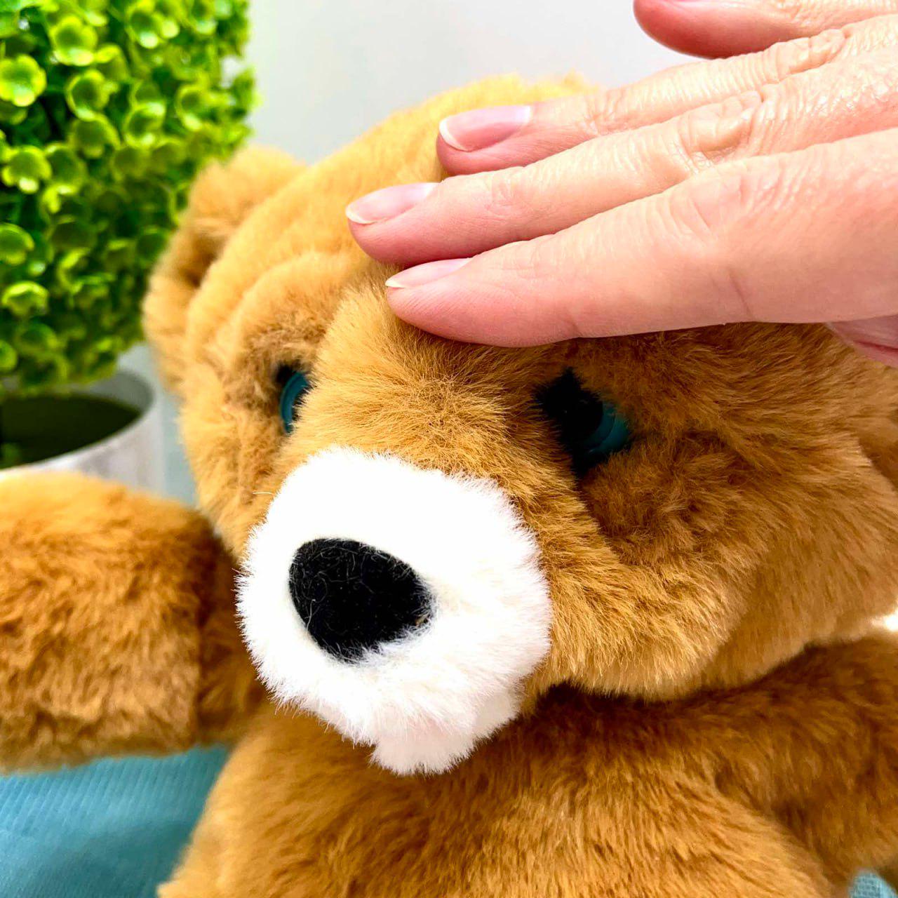 М'яка іграшка інтерактивна Ведмедик пляшечка/моргає/сенсорний та магнітний датчик/звук 24 см Коричневий (933-216 E) - фото 10