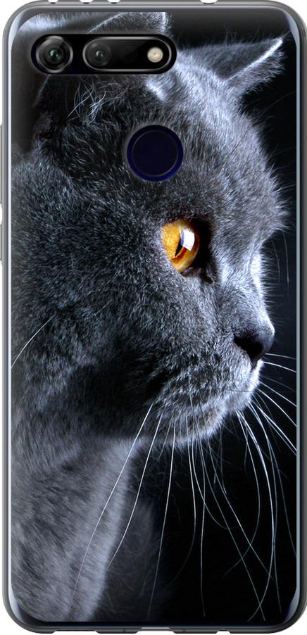 Чехол на Huawei Honor View 20 Красивый кот (3038u-1645-42517)
