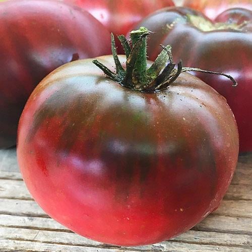 Семена Томат Florium Чорномор (17309)