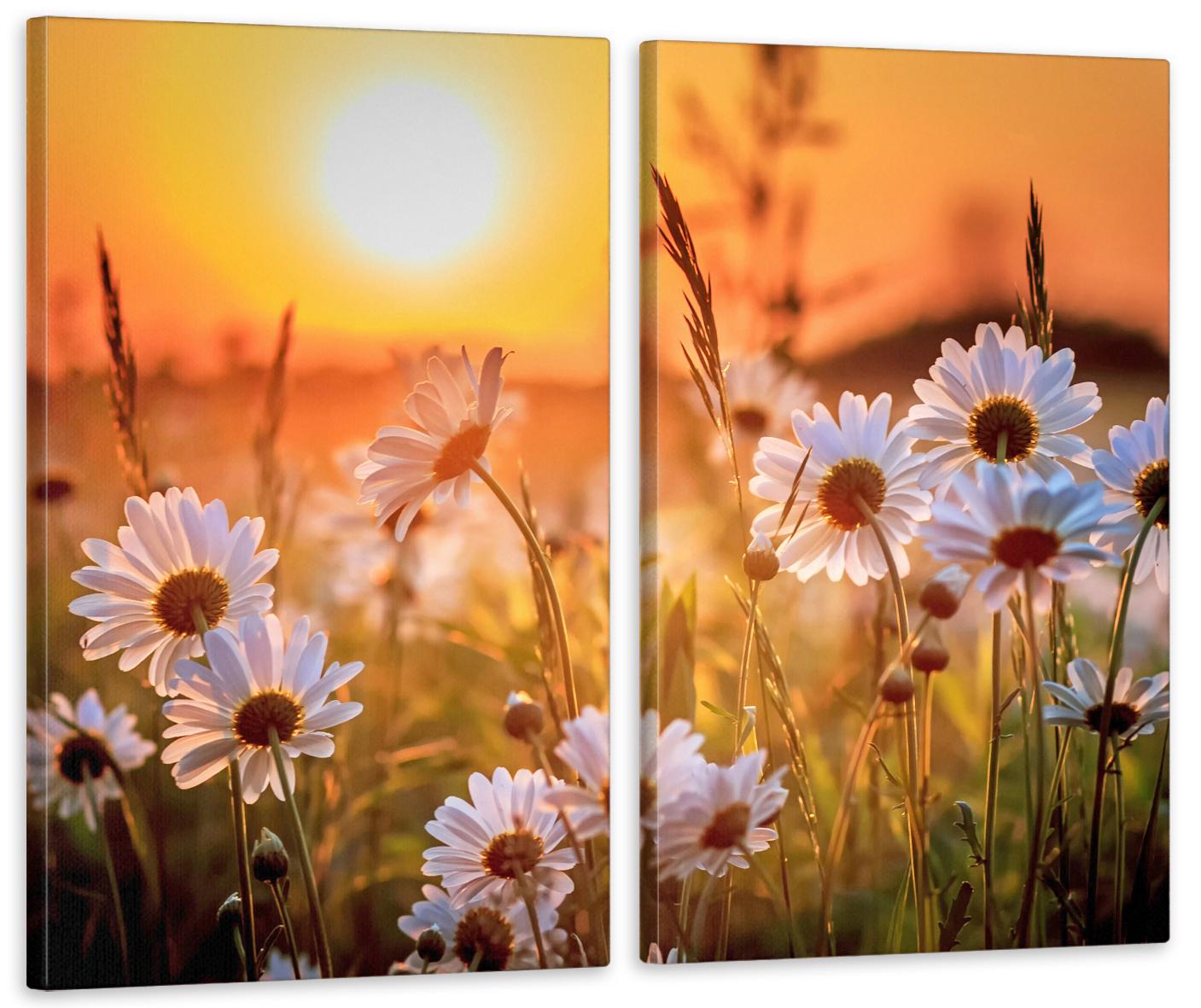 Картина модульная в гостиную/спальню Ромашки 50х70 см (TLV-2_003)