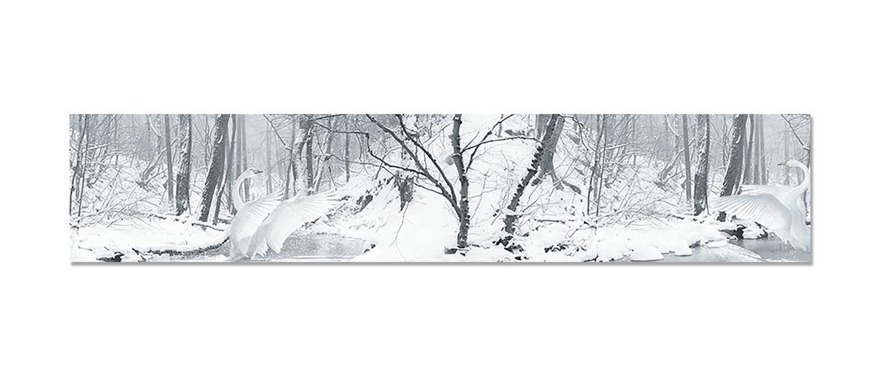 Наліпка вінілова 3D Zatarga Білий Лебідь 600х3000 мм (1274515428) Наліпка вінілова 3D Zatarga Білий Лебідь 600х3000 мм (1274515428)