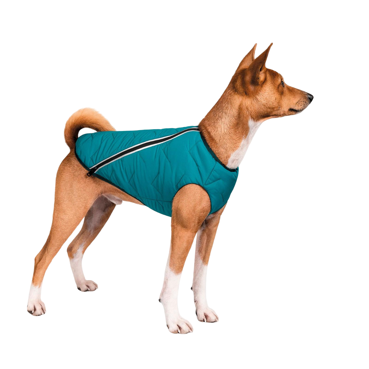 Жилет Pet Fashion E.Vest M2 Морская волна (PR242416)