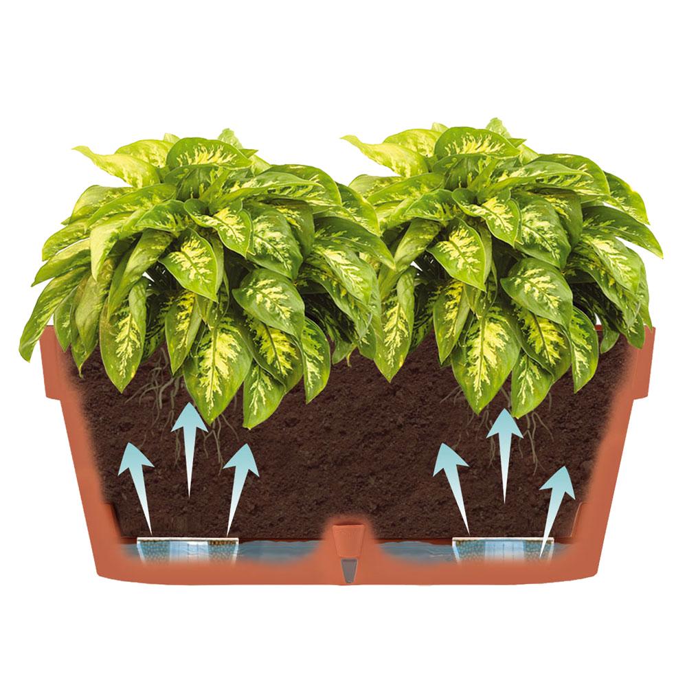 Горшок для цветов LATINA WINDOWS BOX 6,7 л Нефрит - фото 4 Горшок для цветов LATINA WINDOWS BOX 6,7 л Нефрит - фото 4