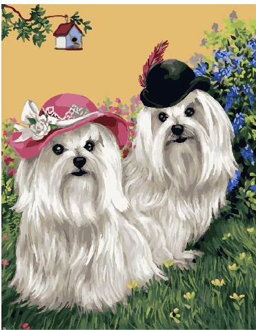 Картина по номерам Brushme Лохматые белые болонки (GX25470)