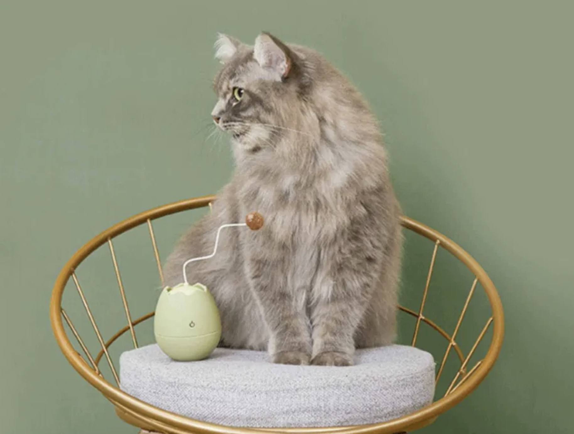 Іграшка для котів яечко - фото 5 Іграшка для котів яечко - фото 5