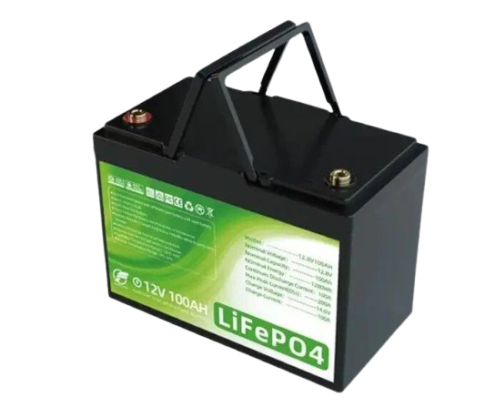 Аккумуляторная батарея LiFePO4 FT12100 100Ah 12V (23562997)