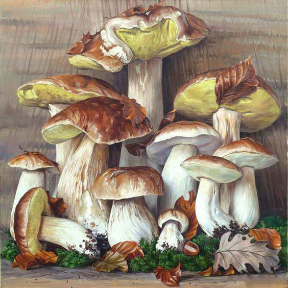 Алмазная мозаика Грибной натюрморт 40x40 см (DM.228)