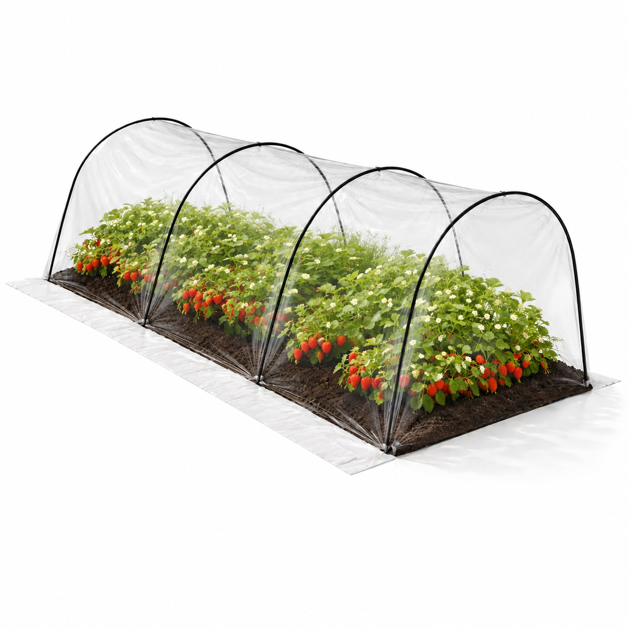 Теплица садовая GardenLine EVA5900 арочная туннельная 1,8х6 м Прозрачный