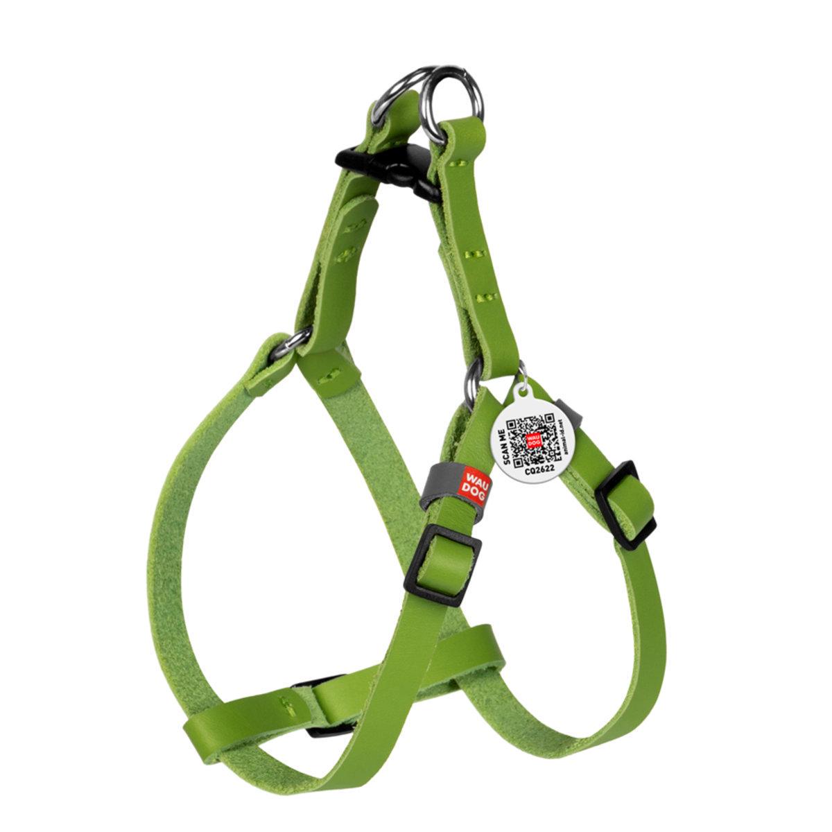Шлея для кошек/мелких собак Waudog Classic с QR паспортом/кожаная/пластиковым фастексом XS 10 мм х 28-40 см Салатовый (60105 Col)