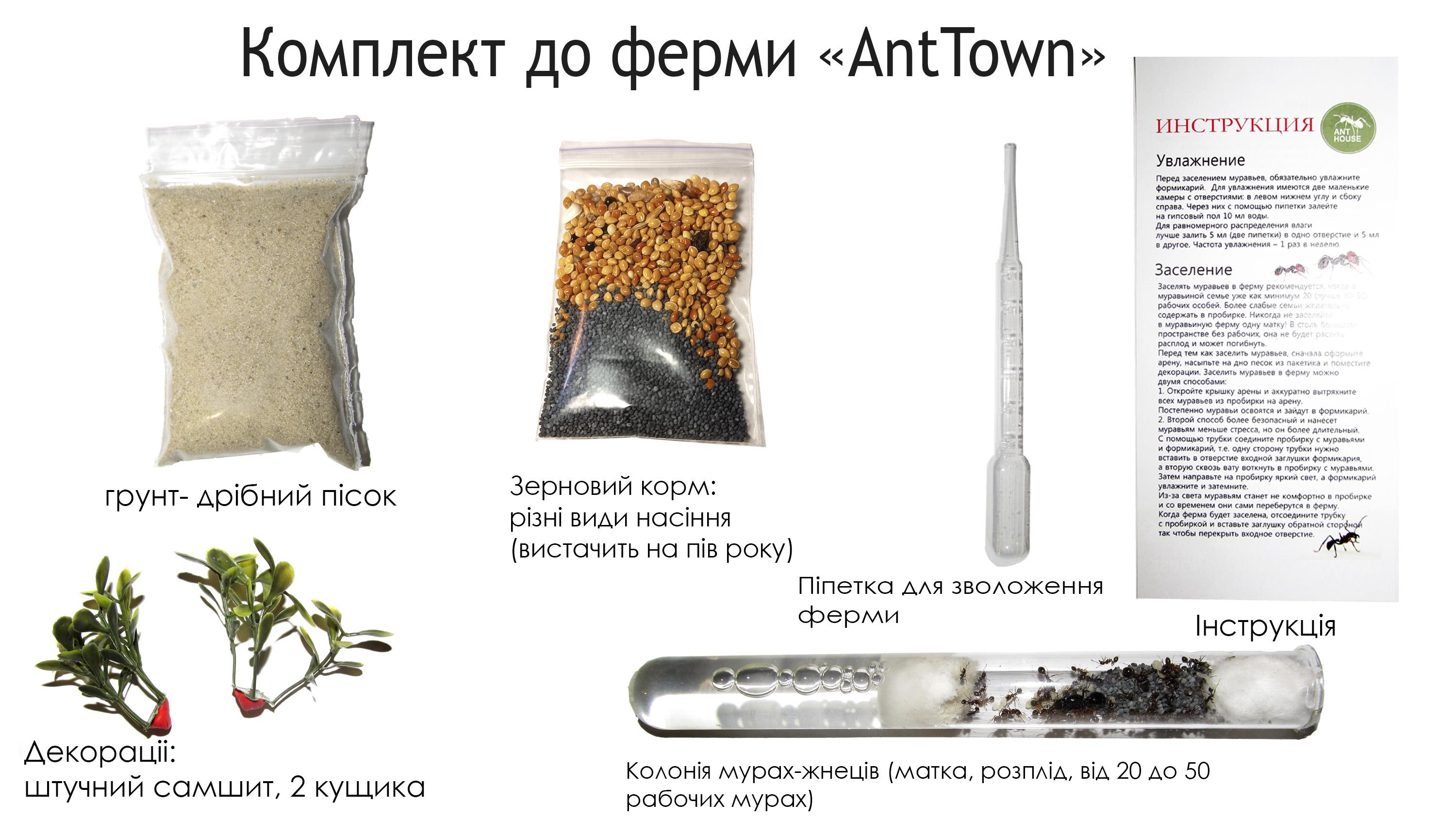 Муравьиная ферма AntTown вертикальная Синий (V-blue) - фото 6