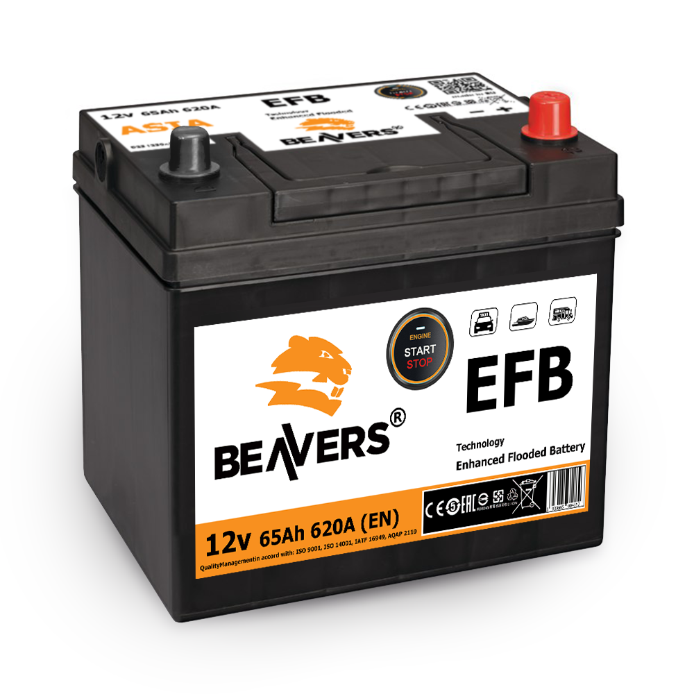 Акумулятор BEAVERS 6СТ-65 R+ ASIA EFB 620А