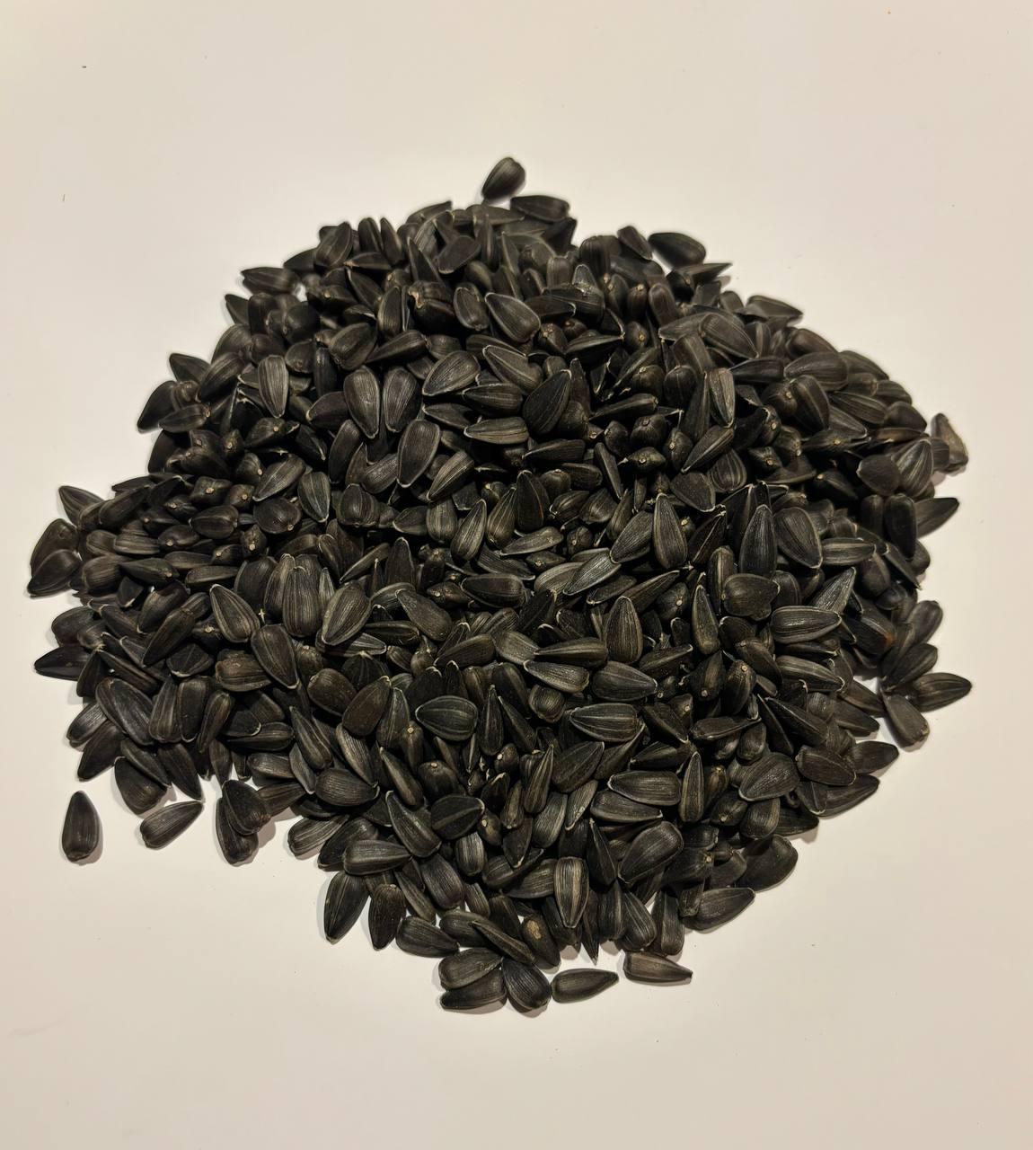 Семена подсолнечника необработанные для кормления птиц и животных 1 кг (2403414627)
