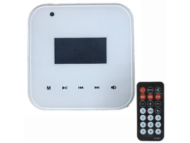 Стереофонический усилитель WAMP100 (1994598627)