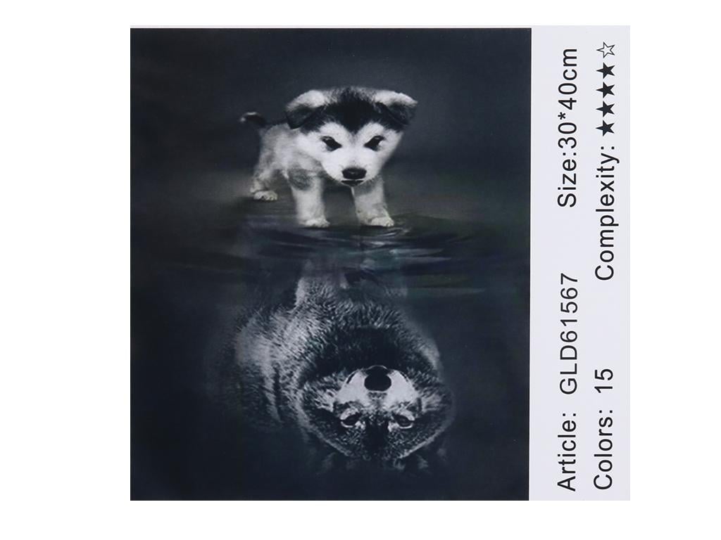 Алмазна мозаїка за номерами Josef Otten Цуценя 61567_BGLD 30x40 см (MTT-177656) - фото 2 Алмазна мозаїка за номерами Josef Otten Цуценя 61567_BGLD 30x40 см (MTT-177656) - фото 2