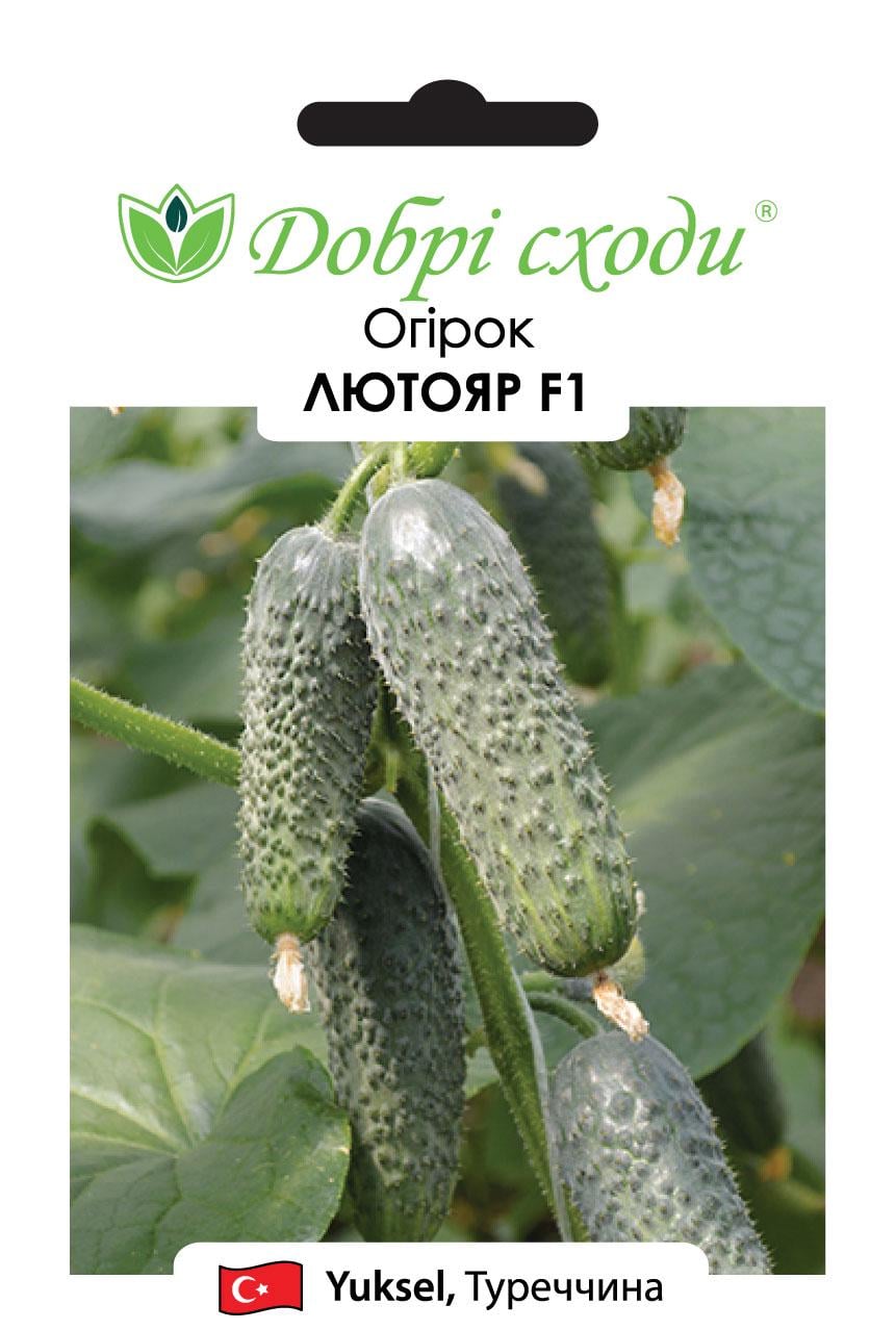 Семена огурец Лютояр F1 Добрі Сходи 50 шт. (01010138)