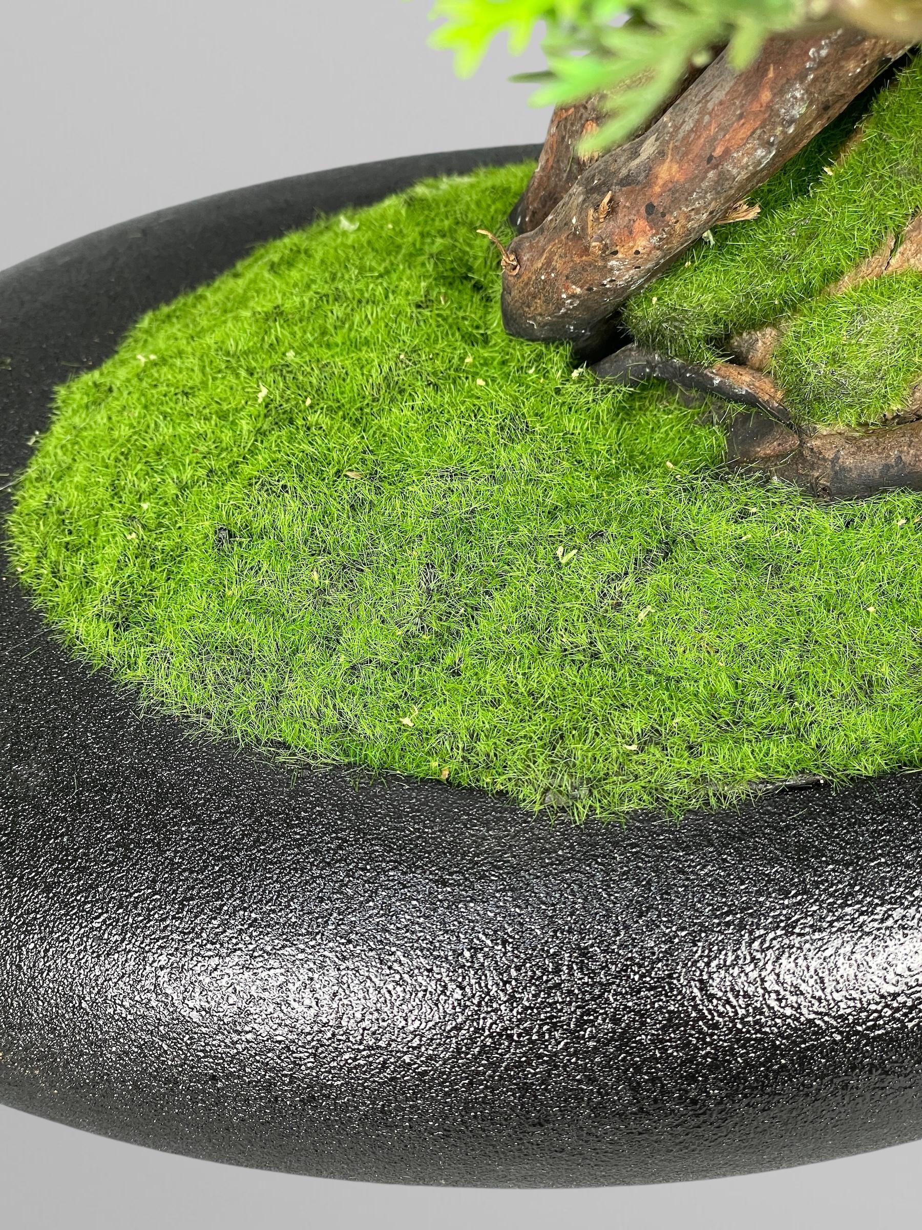 Бонсай 35 см Зеленый (Б005) - фото 5