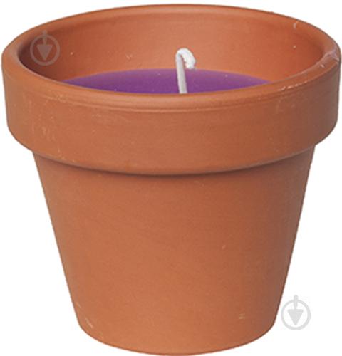 Свеча Candle pot Стандарт 10 x 11 см Коричневый с фиолетовым (000001350)