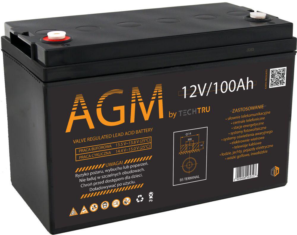 Аккумулятор AGM TECHTRU 12V 100Ah VRLA (51407)
