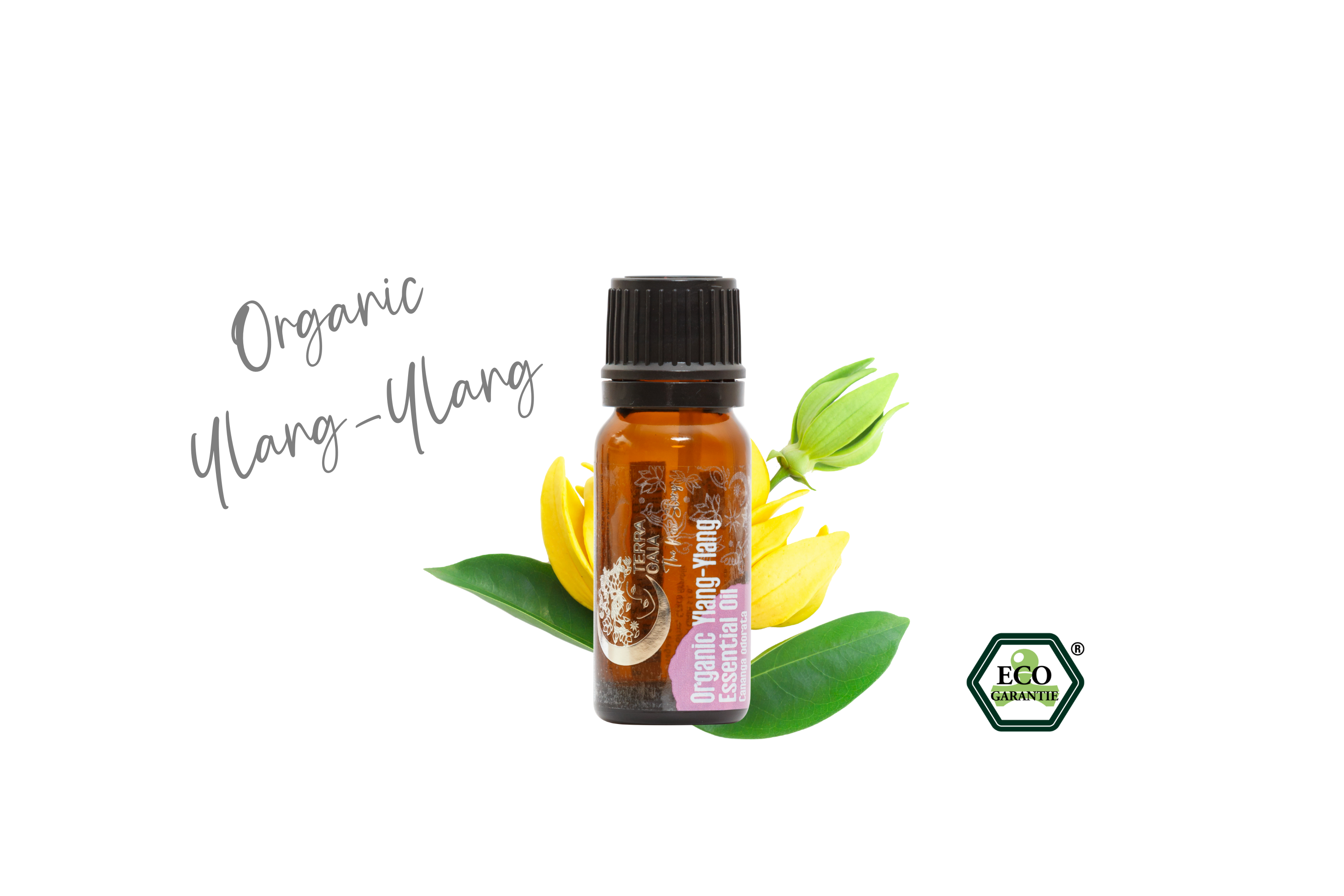 Органічна ефірна олія TERRA GAIA Іланг-Іланг 30 мл (17444214) - фото 2