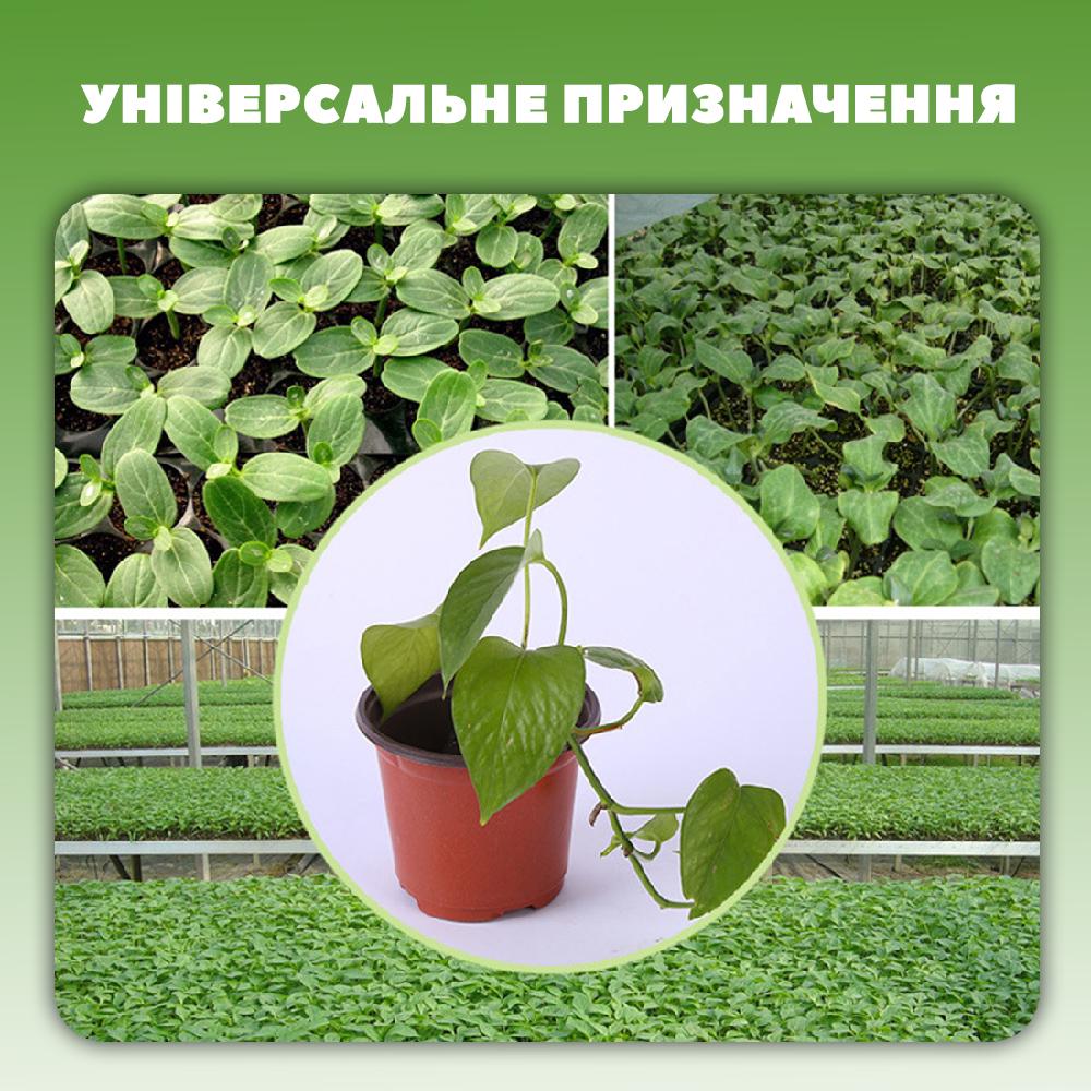 Горщики-стакани для розсади пластикові 10 лотків з кришками пластикові ємності (STKROZ-BRN-0689) - фото 5