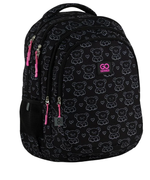 Школьный рюкзак GoPack Teens GO25-162L-2 (4063276190659)