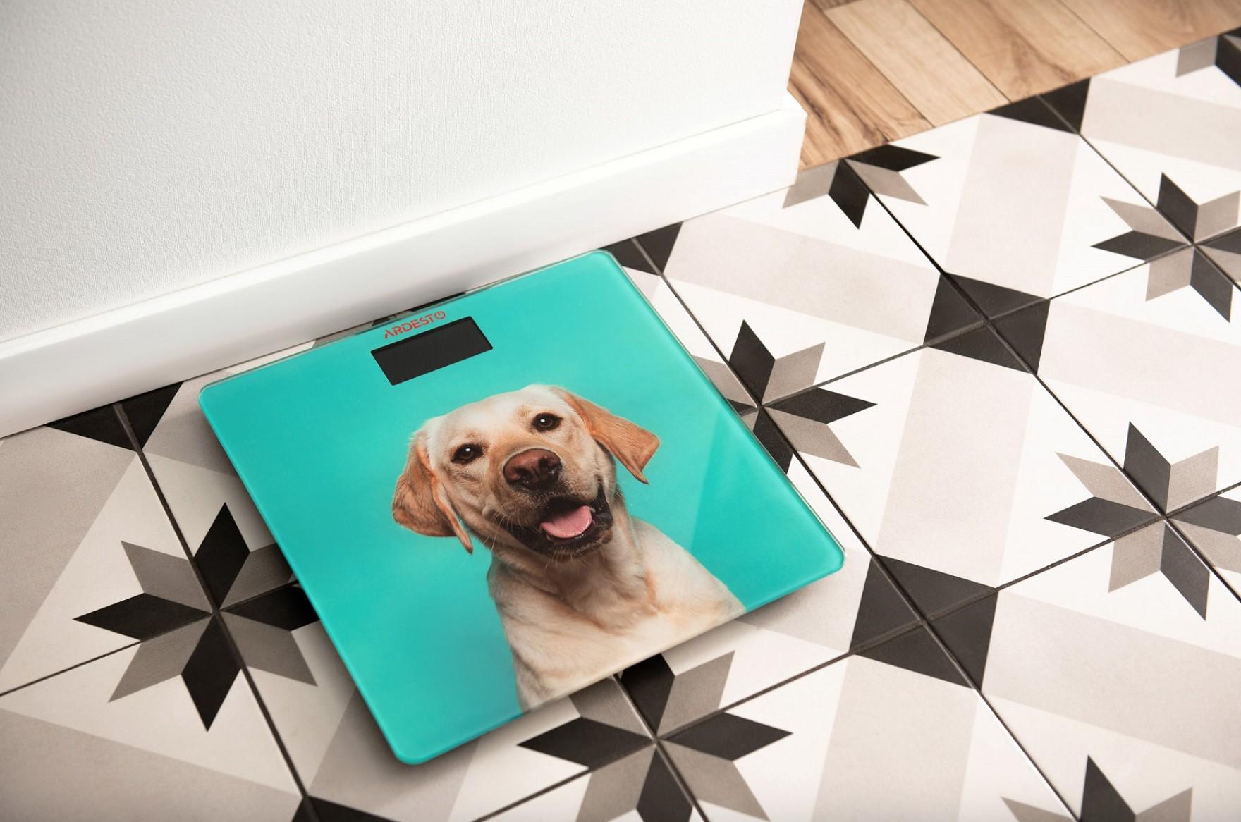 Весы напольные Ardesto SCB-965 Dog EU (0209) - фото 2 Весы напольные Ardesto SCB-965 Dog EU (0209) - фото 2