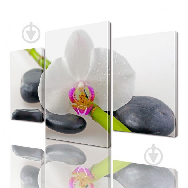 Модульная картина ArtStar цветы Орхидея на камнях ADFL0016 размер 120 х 180 см