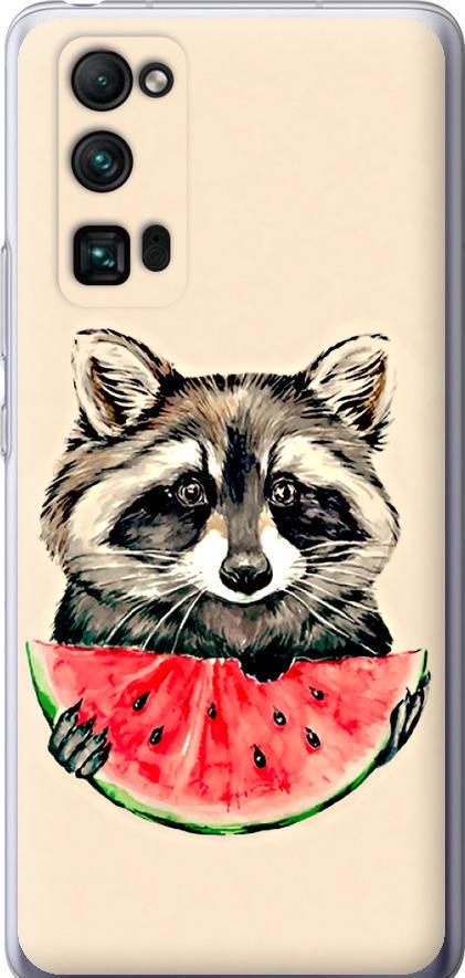 Чехол на Huawei Honor 30 Pro Енотик с арбузом (4605u-1920-42517)