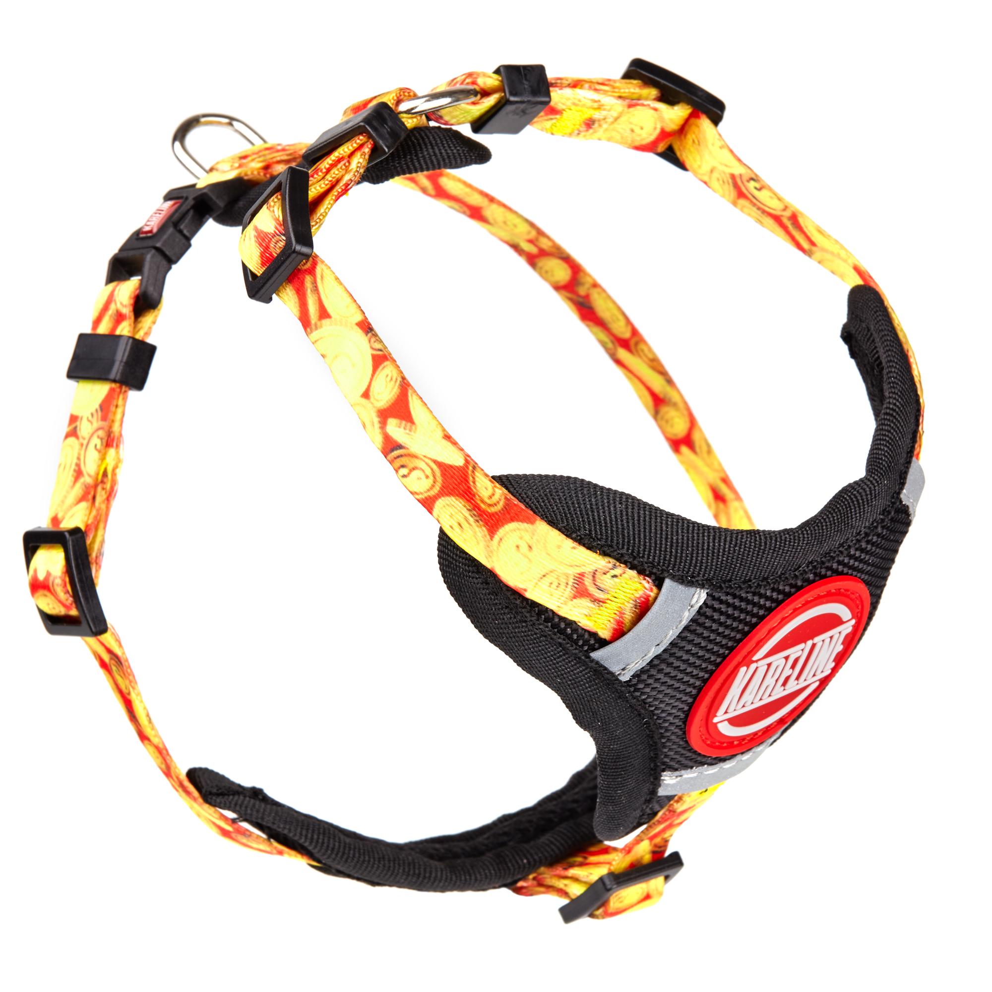 Шлея KareLine MONEY из нейлона с узором 15 мм А 320-480 мм В 400-500 мм (0885/2)