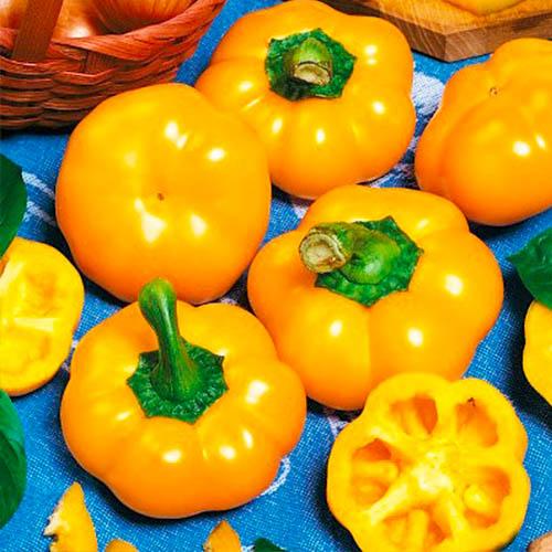 Насіння Перець Florium Ратунда золотий (12248) Насіння Перець Florium Ратунда золотий (12248)