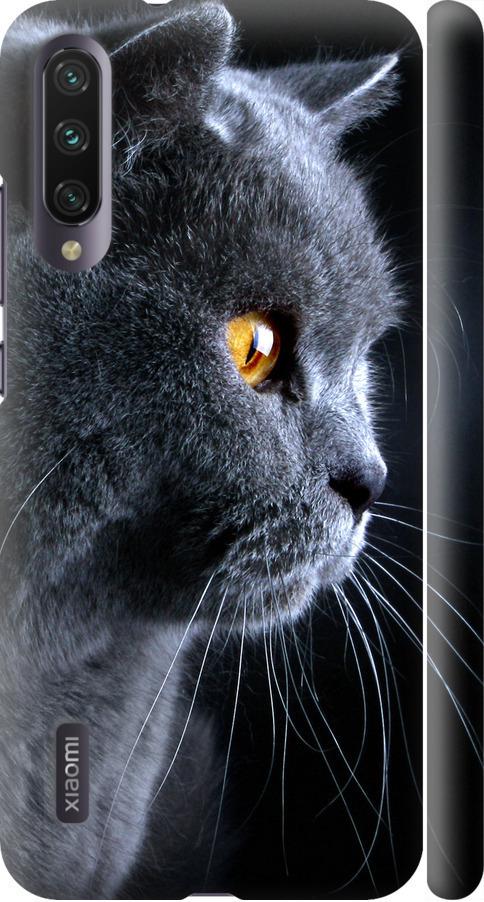Чехол на Xiaomi Mi A3 Красивый кот (3038m-1737-42517)